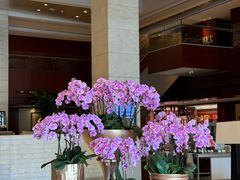 -苏州金鸡湖大酒店