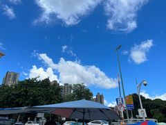 -海陆丰明凤擂茶