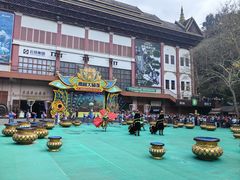 -西双版纳原始森林公园