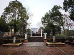 -三江森林温泉度假区