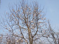 -西安汉城湖景区