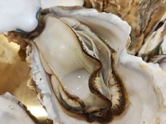 -炉队长·齐齐哈尔家庭烤肉(马家堡店)