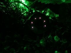 -MOJO密室逃脱(中街旗舰店)