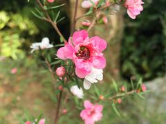 -南通洲际绿博园