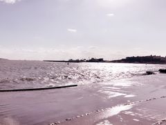 -汤泊温泉度假村
