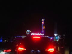 -枫花园汽车电影院(朝阳公园店)