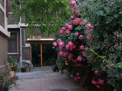 -天津五大道文化旅游区