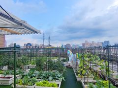 -巴黎春天(浦建店)