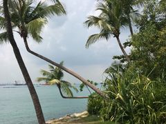 -巴拉湾海滩