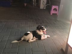 -老徐烧烤涮肚(交道口店)