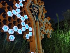 -飞凤山奥体公园