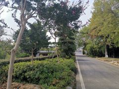 -武汉紫薇都市田园