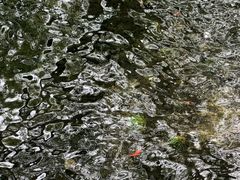 -水磨沟公园