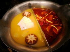 台式麻辣花胶鸡鸳鸯锅-湊湊火锅·茶憩(世博大道店)