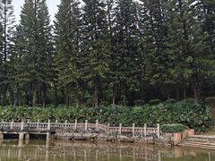 -三水森林公园