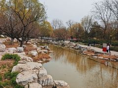 -大望京公园