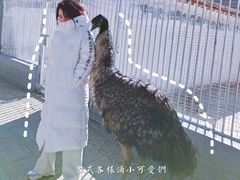 -罗布林卡