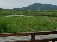 android_upload_pic-腾冲北海湿地