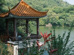 -深圳仙湖植物园