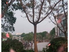 -上海日海酒店-停车场