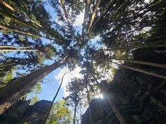 -梭布垭石林景区