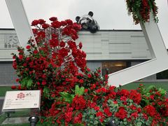 -重庆市江北嘴中央商务区中央公园