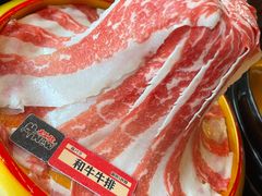 -牛New寿喜烧(金鹰世界店)