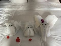 -三亚亚龙湾雅高铂尔曼别墅度假酒店