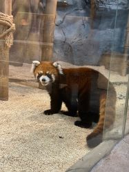 -Zoolung Zoolung动物主题公园(海信广场店)