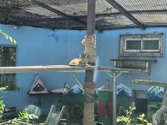 -青藏高原野生动物园