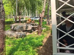 -秦皇岛野生动物园