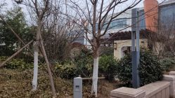 -青岛妇女儿童医院(辽阳西路院区)