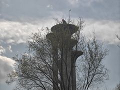 -五洲咖啡厅(五洲大酒店)