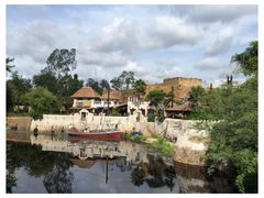 -奥兰多迪士尼动物王国乐园