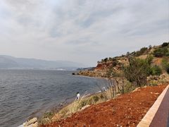 -阳宗海湿地