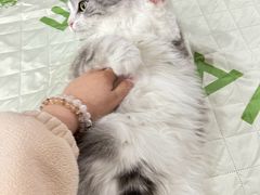 -百联南桥购物中心