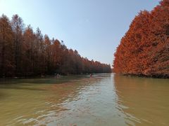 -上海海湾国家森林公园