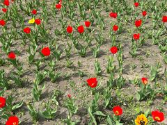 -长春公园(普阳街道)