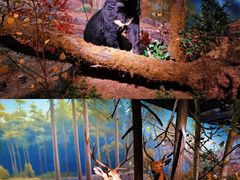 -武汉园博园(武汉自然博物馆)