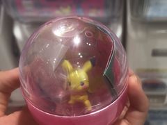 -超级宝可梦中心(东京店)