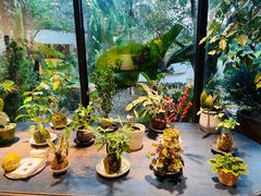-自由生长植物工作室(深港花卉中心店)