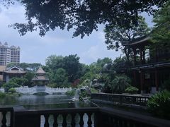 -顺峰山公园