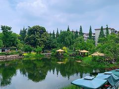-成飞公园