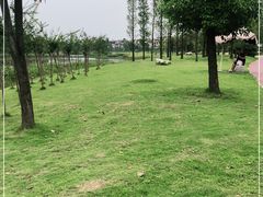 -两河城市森林公园