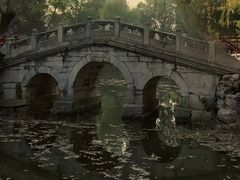 -莲池书院博物馆