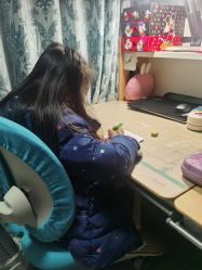 -2平米·智慧学习桌·希沃学习机·学而思学习机(古墩美凯龙店)