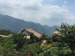 -优游吧斯邹族文化部落