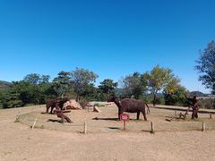 -北京西山国家森林公园