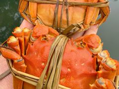 -徐岛主·特色农家乐(阳澄湖莲花岛店)