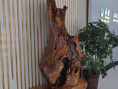 -泰康拜博口腔·二级专科医院(种植·正畸·修复·联合中心)